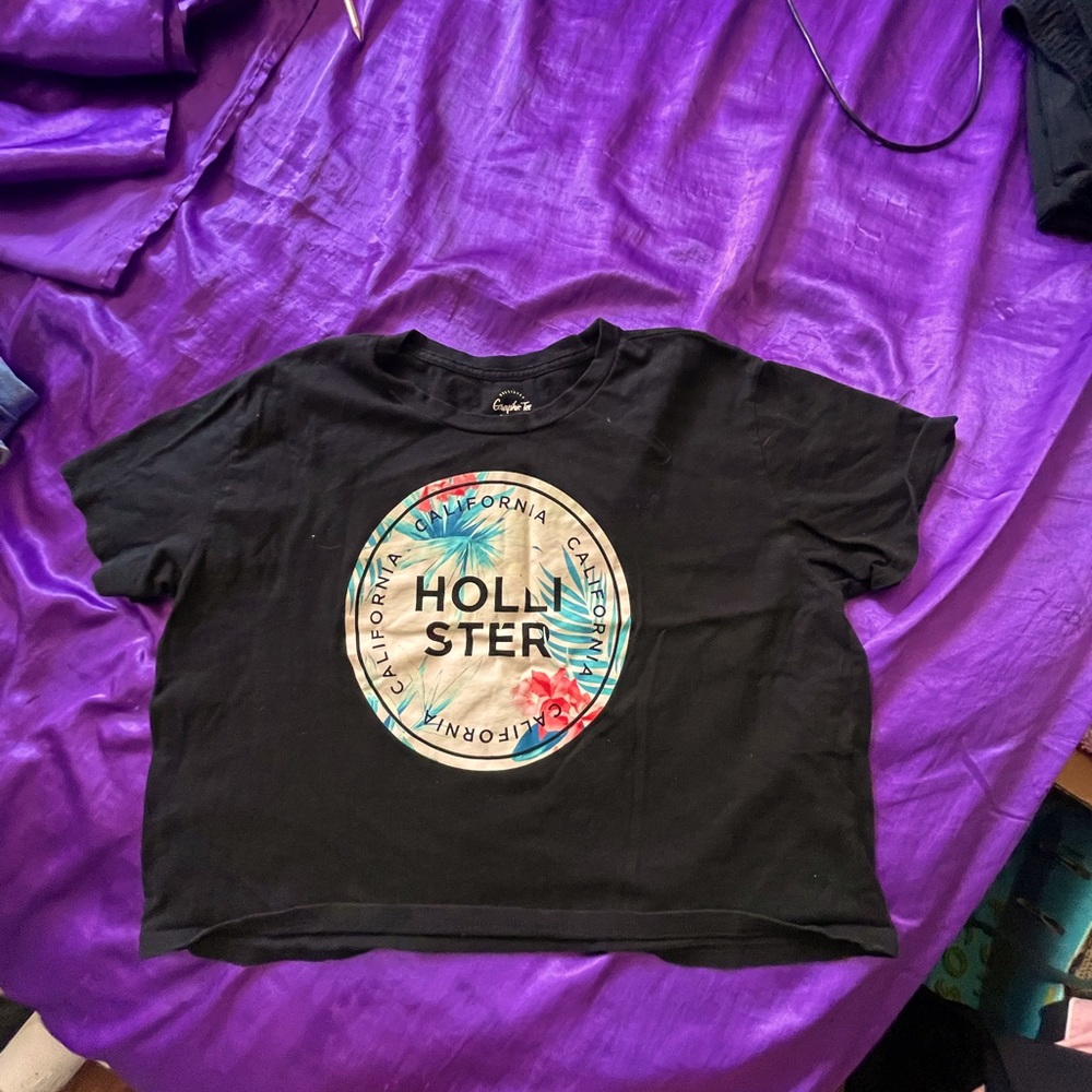 Hollister Cropped Top